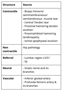 HAMSTRING INJURIES - MediPhysio