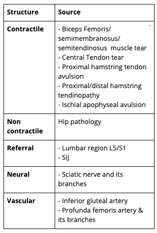 differential diagnoses that can also cause posterior thigh pain